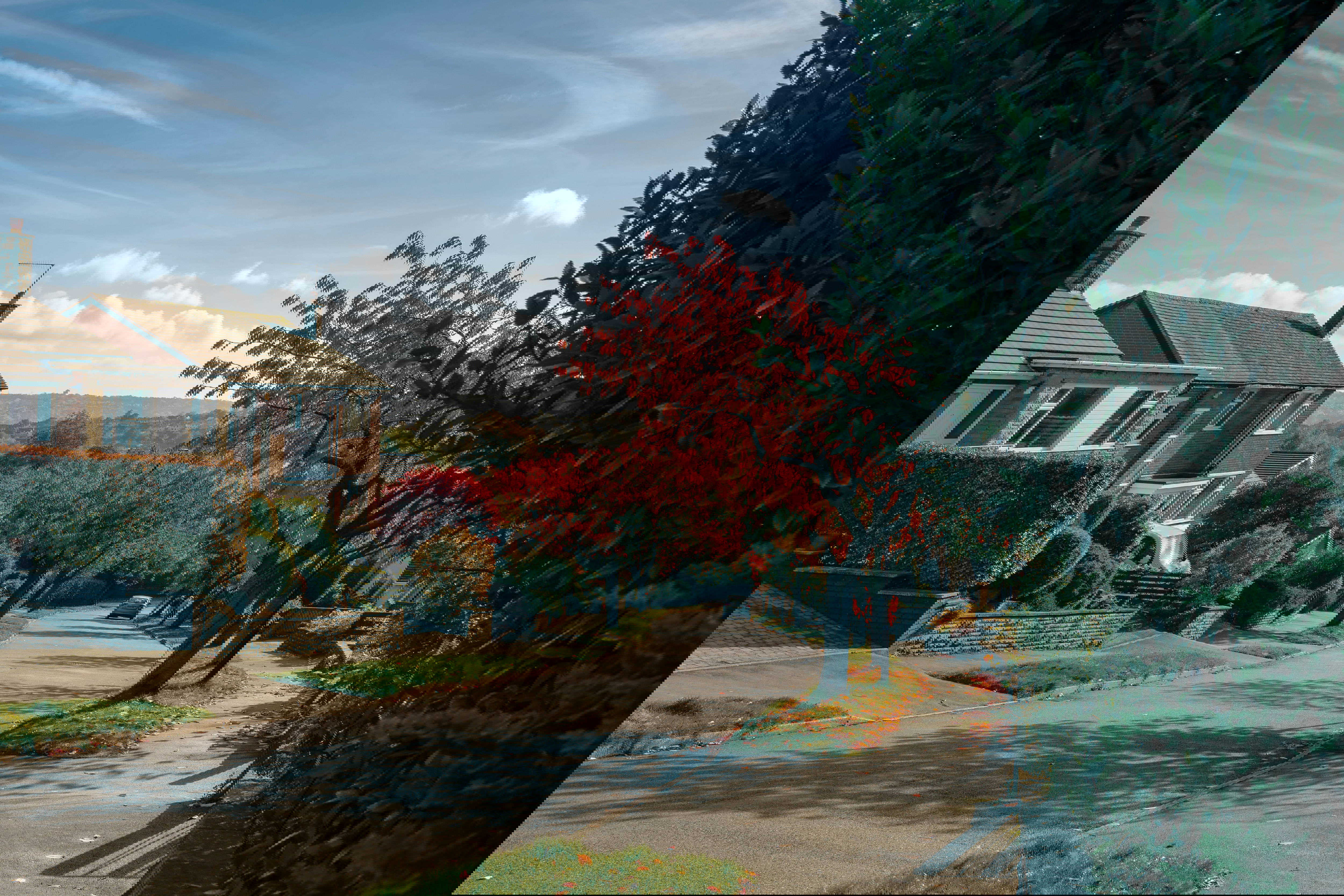 A large open residential space with red and orange leaf trees